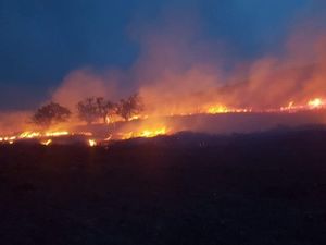 Supporting image for story: Llangollen beauty spot in flames