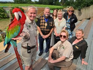 Supporting image for story: Popular family-run Wild Zoo issues urgent plea for help to survive as costs spiral