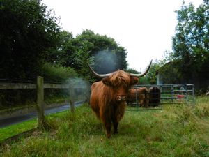Supporting image for story: Shropshire weather forecast: Winds and heavy rain expected heading into Bank Holiday weekend
