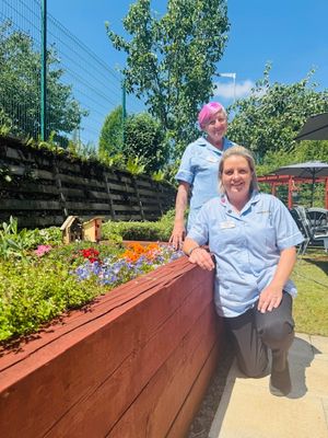 The garden provided the perfect setting for Care Home Open Week. Picture: Chorus Comms