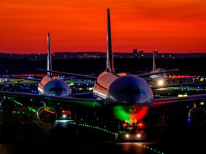 Supporting image for story: Part of Frankfurt Airport’s power supply cut overnight by a dormouse