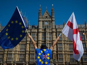 Supporting image for story: No grip on Brexit reality