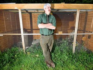 Supporting image for story: Keep aviaries secure, bird owners told after spate of thefts