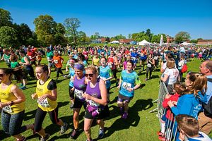 Supporting image for story