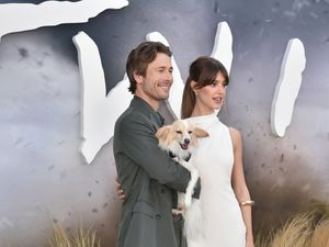 Supporting image for story: Peta activists protest at Hollywood premiere of Twisters over rodeo scenes