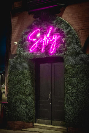 Sophy Digbeth opens this weekend 