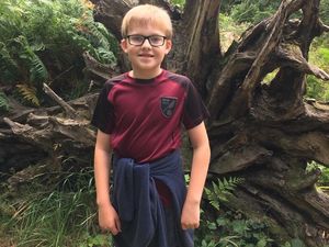 Supporting image for story