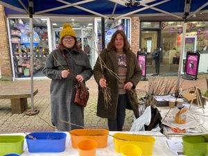 The free tree whip giveaway