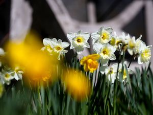 Supporting image for story: UK enjoys hottest day of the year before cloudy skies return, Met Office says