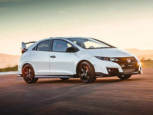 Supporting image for story: This animal roars but is sure-footed on road