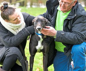 Supporting image for story