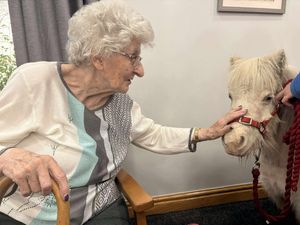 Residents and guests enjoyed meeting the ponies 