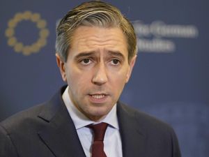 Supporting image for story: Targeting and abuse of civilians in Gaza and Lebanon must stop – Taoiseach