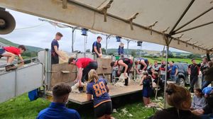 The popular shearing competitions at Pantydwr Show in 2024