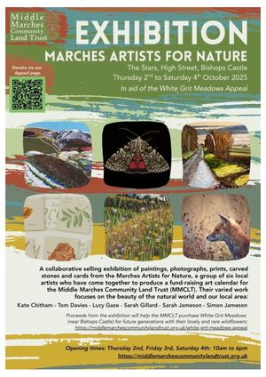 Marches Artists for Nature Exhibition
