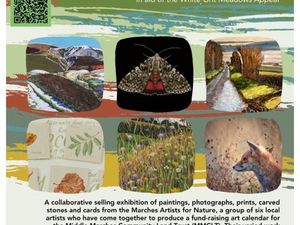 Supporting image for story: Bishop's Castle to showcase the Marches Artists for Nature exhibition this October