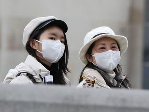 Supporting image for story: Two main coronavirus strains affecting humans, scientists claim