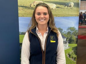 Supporting image for story: Key points to the Sustainable Farming Incentive Scheme 