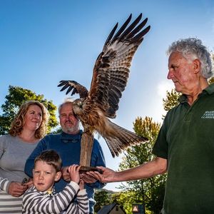 Taxidermist Doug Coates with the Forsey family and the Red Kite. Photo Andrew Price, Viewfinder
