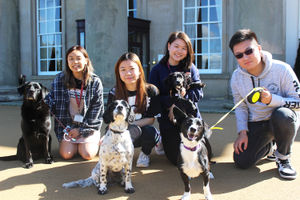 Supporting image for story