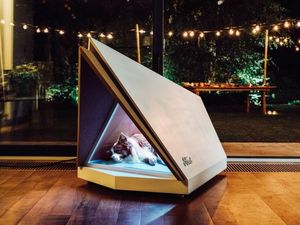 Supporting image for story: Quiet kennels could keep dogs relaxed during fireworks
