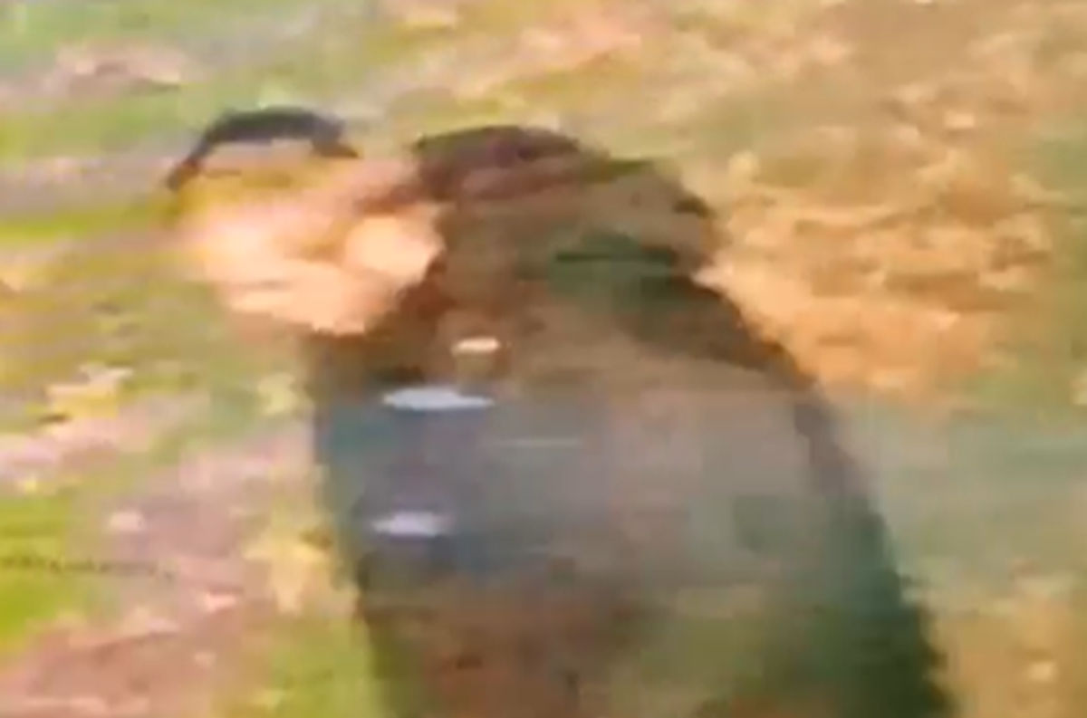 Racially aggravated rape of woman in Walsall sparks urgent CCTV appeal to identify suspect