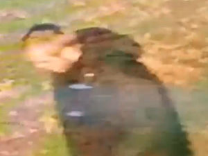 Supporting image for story: 'Racially aggravated' rape of woman in Walsall sparks urgent CCTV appeal to identify suspect