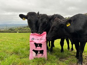 Supporting image for story: Whitchurch agricultural business raises awareness for breast cancer charity 
