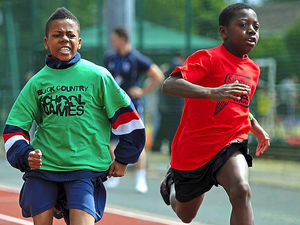 Supporting image for story: Sport wins at the Black Country Games