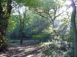 Saltwells Nature Reserve