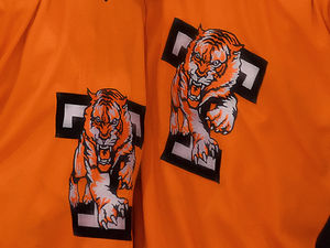 Supporting image for story: Telford Tigers pledge 'appropriate action' over 'fan incident' at weekend second team match