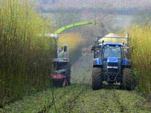 Supporting image for story: Outrage as burner gets go-ahead