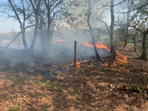 The fire at The Ercall. Photo: Manel Roura