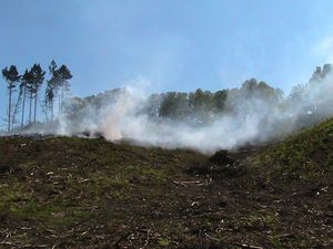 Supporting image for story: Crews tackle five separate grass fires in Burntwood