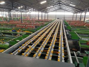 Supporting image for story: Jupiter Group secures partnership with traceability provider DiMuto