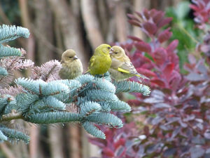 Supporting image for story: Wolverhampton man wins photography competition by wilko