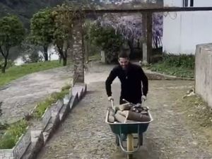 Supporting image for story: Wolves ' Joao Moutinho offering free rides for cardio - WATCH 