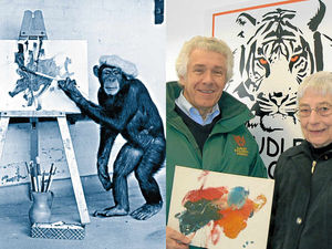 Supporting image for story: Happy reminder of primate painter crowds used to love