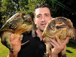 Supporting image for story: Turtle shock for angler