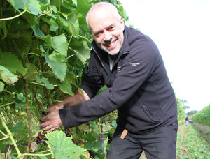 Supporting image for story: Shropshire vineyard looking forward to a bumper vintage 