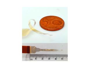 Supporting image for story: Tiny wraparound implants ‘represent new approach for spinal cord injuries’