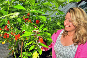 Supporting image for story: Visitors set for a red-hot time at chilli festival