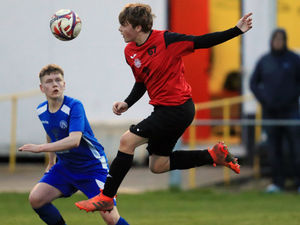 Supporting image for story: Wellington Amateurs are playing the generation game