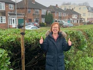 Supporting image for story: Tree victory for residents living along Wolverhampton 'gateway' after 15-year battle