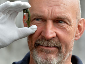 Supporting image for story: Roman treasure from AD60-100 found by Newport History Society member