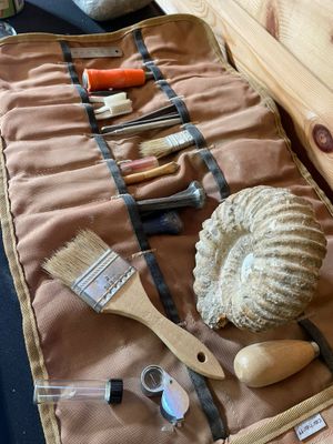 On February 14th and 20th, you can visit the all-new fossil prep lab.