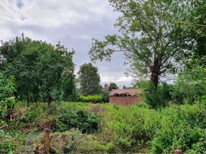 Supporting image for story: Plans to turn old pigsty into bungalow rejected by council