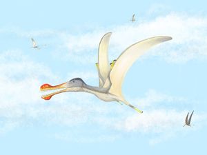 Supporting image for story: Three new species of pterosaur discovered in the Sahara