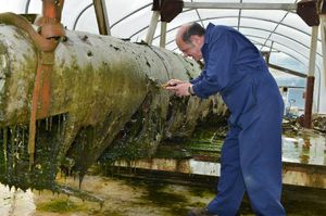Aircraft technician John Warburton at work on the outside of the Dornier
