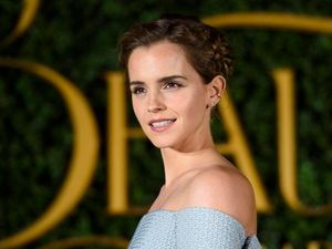 Supporting image for story